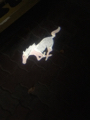 Benutzeravatar