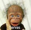 Benutzeravatar
