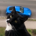 Benutzeravatar