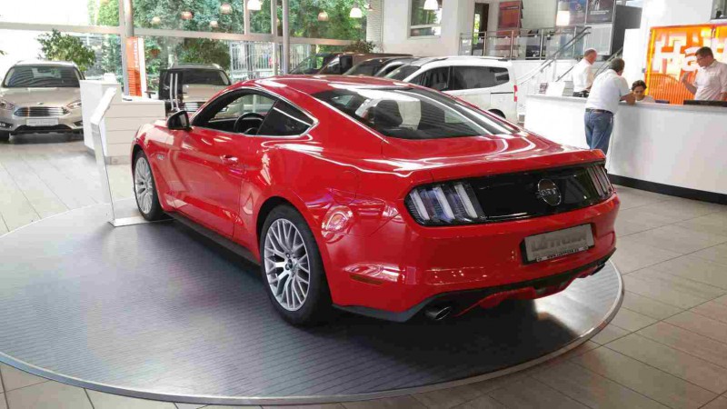 Mustang_Lüttgen_04_klein.jpg