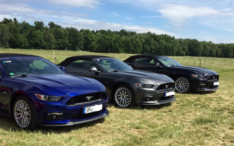 my mustang 2.jpg