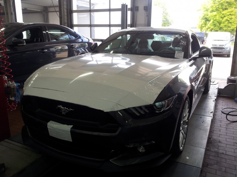 Mustang-OVP.jpg