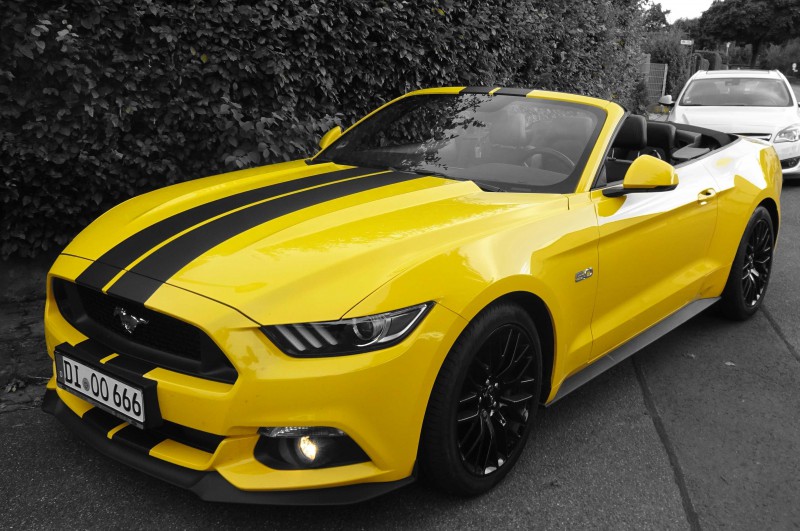 Mustang_03.jpg