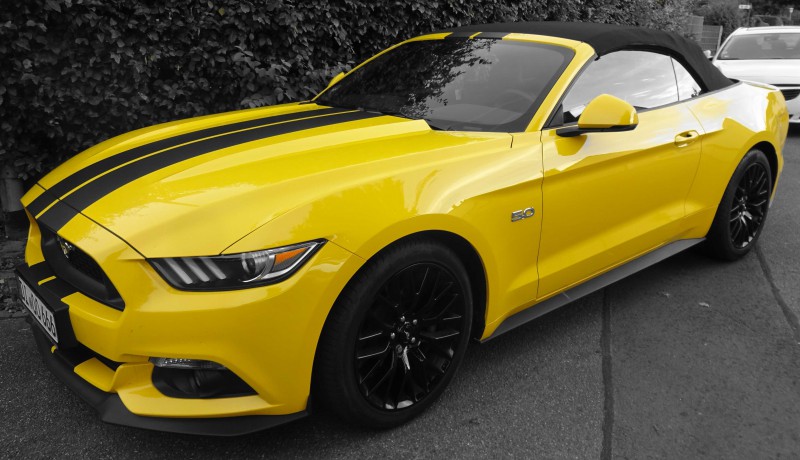 Mustang_05.jpg