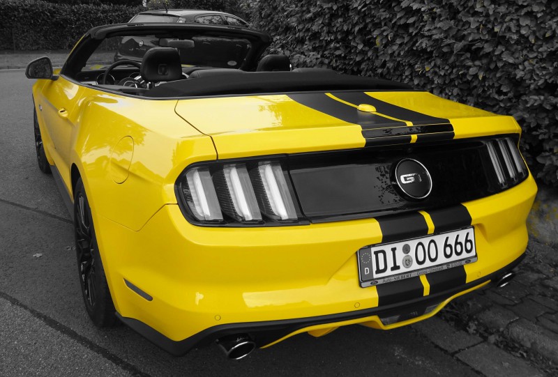 Mustang_04.jpg