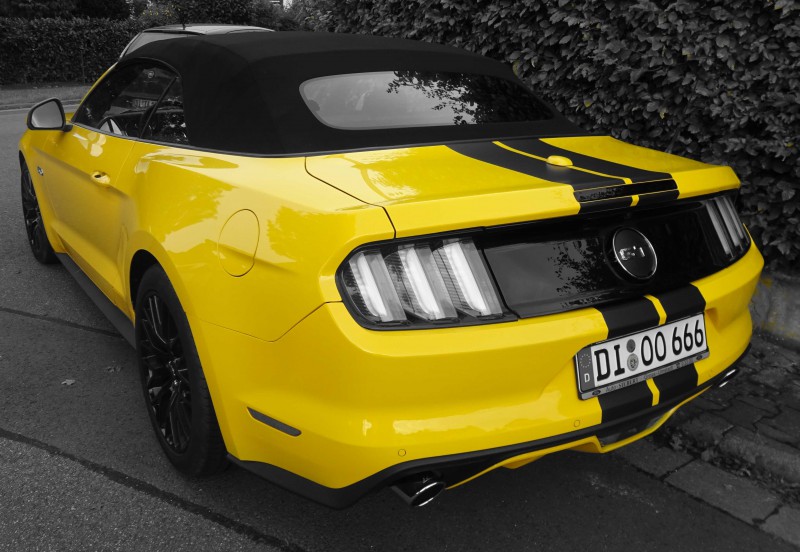 Mustang_06.jpg