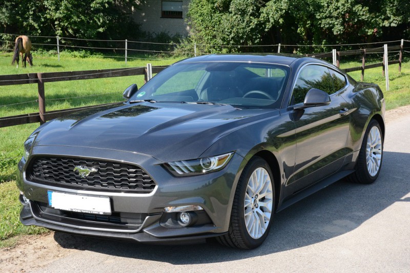 Mustang, vorne links vor Wiese.jpg