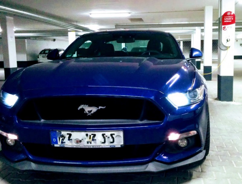 hybrid1.jpg