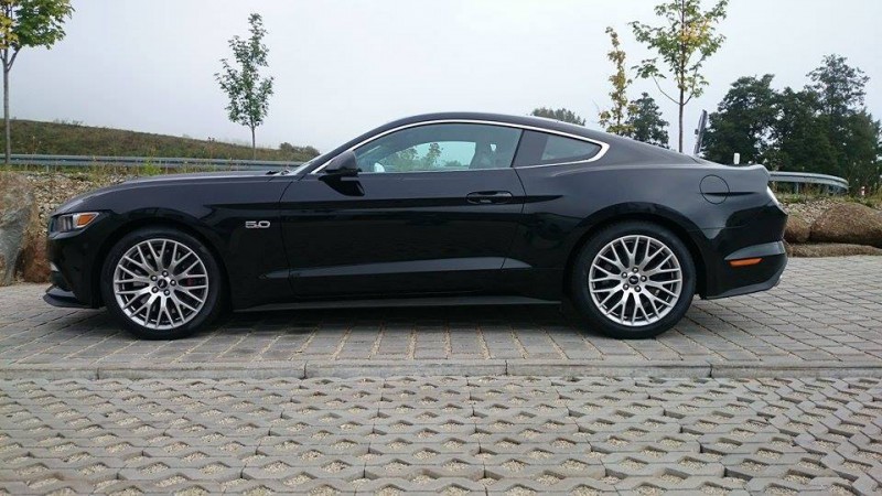 Mustang.jpg