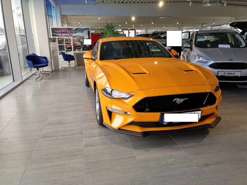 Mustang 1.jpg
