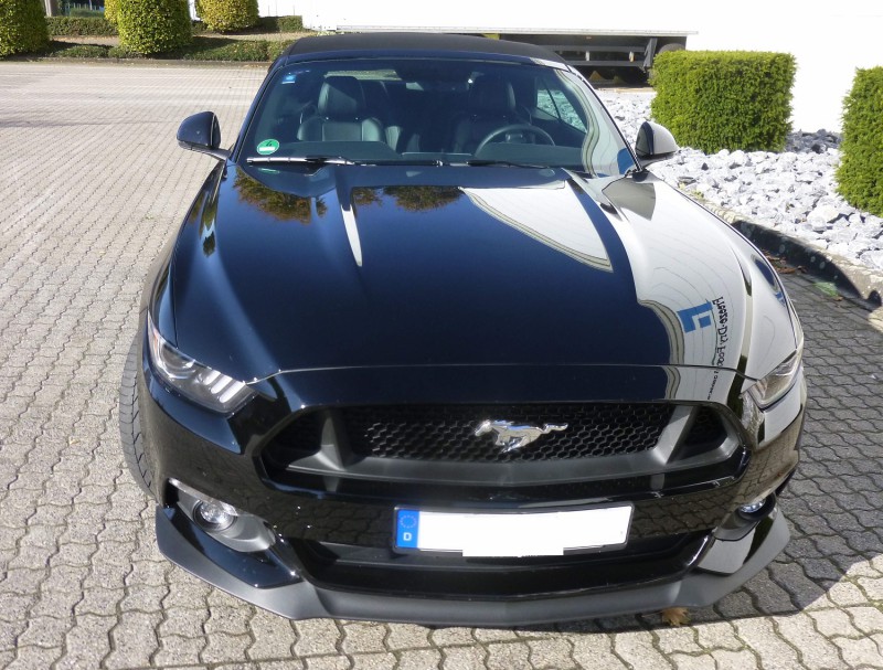 Front.JPG