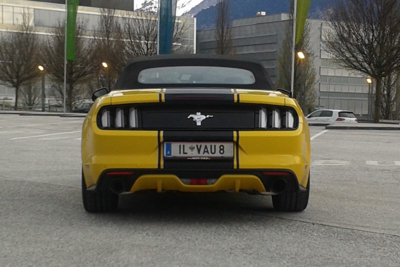20180415_073941a.jpg