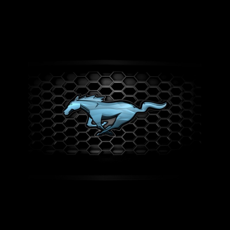 grill--1600.jpg