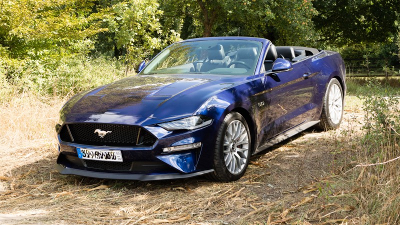 Mustang-001.jpg