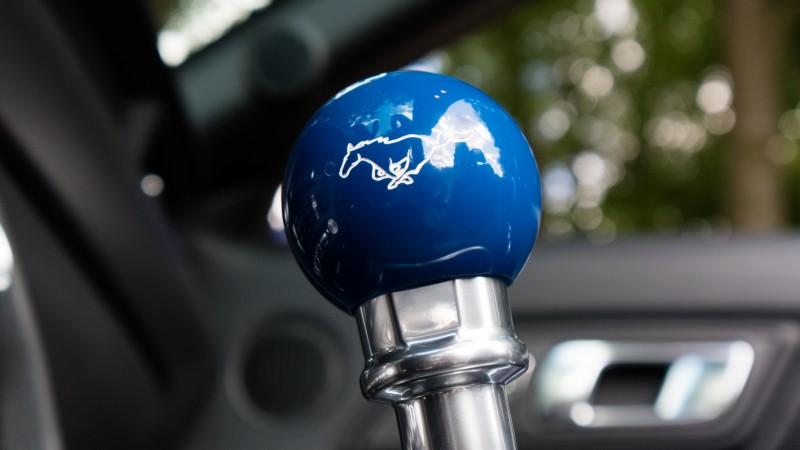 Mustang-003.jpg
