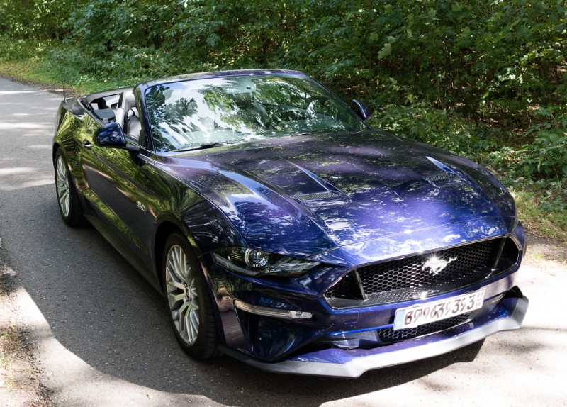 Mustang-008.jpg