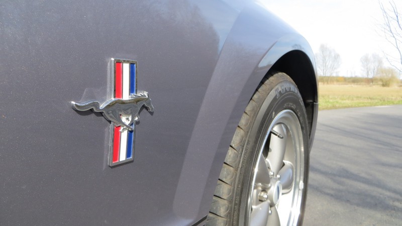 Mustang (25).jpg