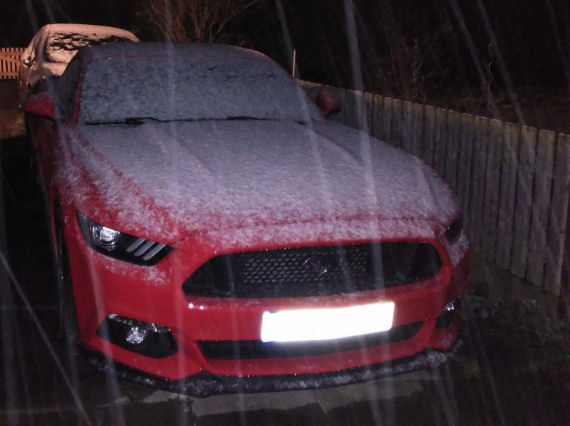 Pony im Winter.JPG