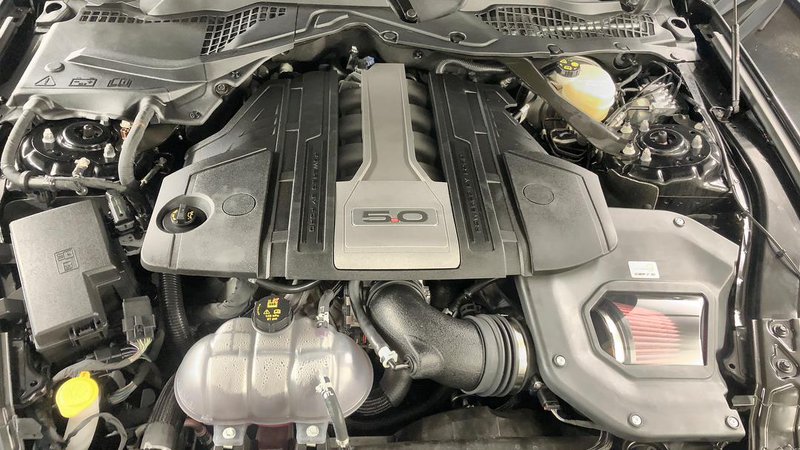 SF500_2.jpg