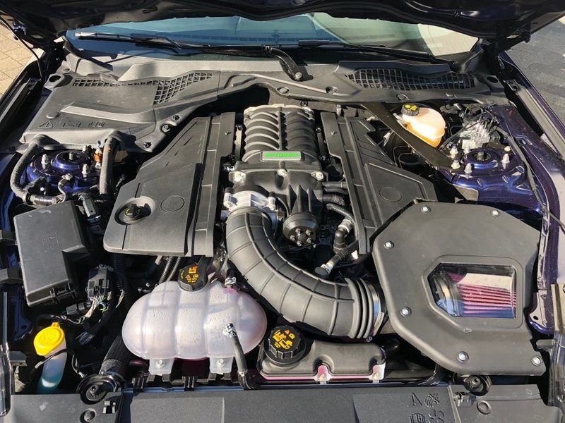 SF600_2.jpg