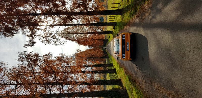 20181109_132025.jpg