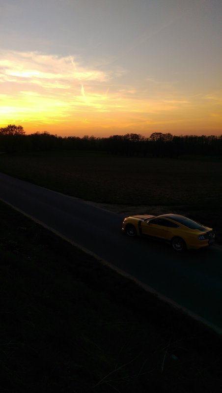 IMAG0847.jpg