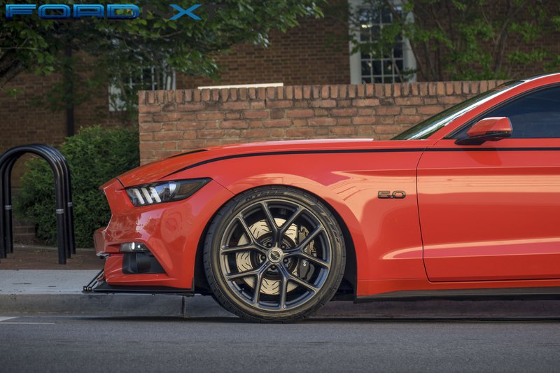 Shelby CS3 Mustang.jpg