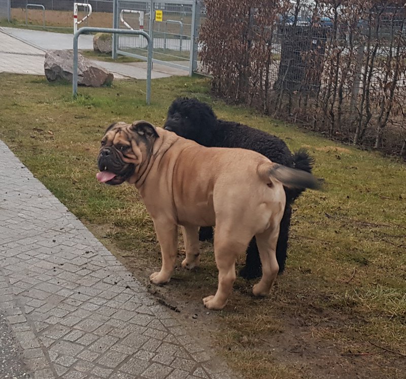 20190219_172024-02.jpeg