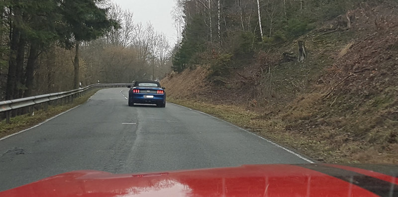 20190302_121540.jpg