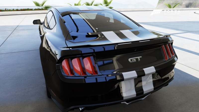 Pony24.jpg