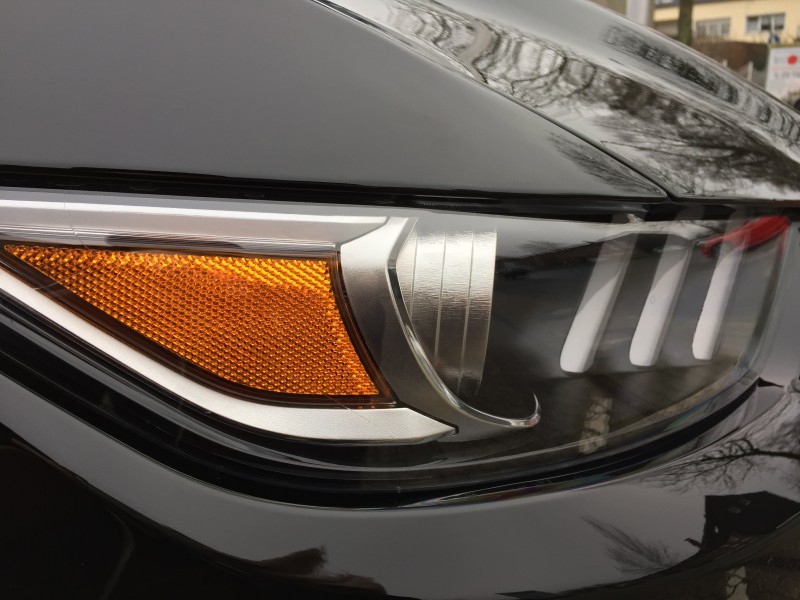 Mustang 004.JPG