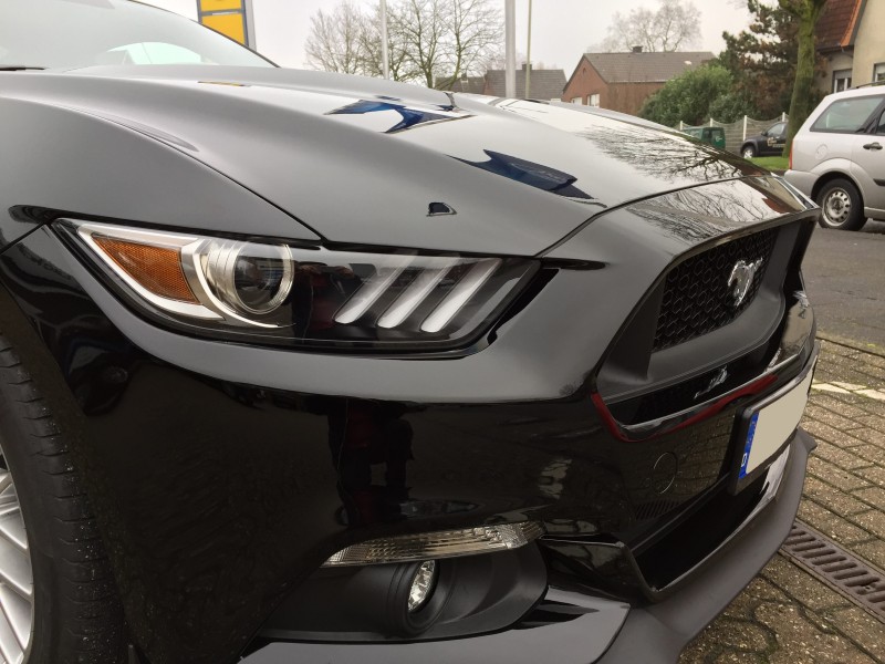 Mustang 005.JPG