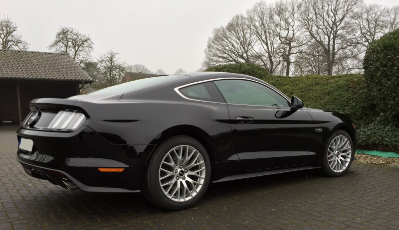 Mustang 007.JPG