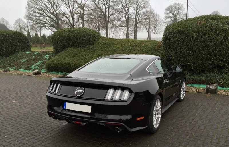 Mustang 008.JPG