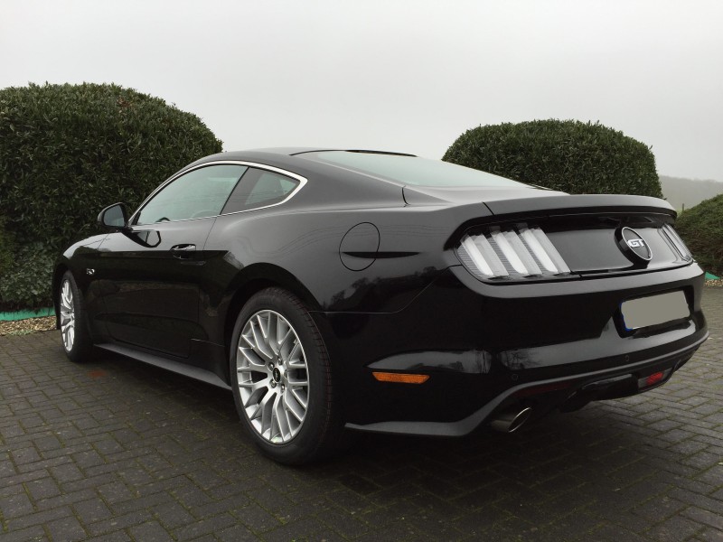 Mustang 009.JPG