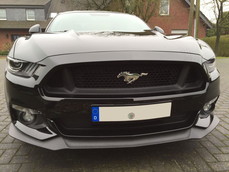 Mustang 011.JPG