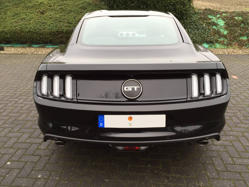 Mustang 012.JPG