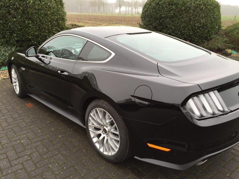 Mustang 014.JPG