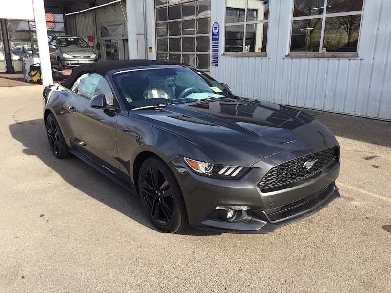 mustang01 025.jpg