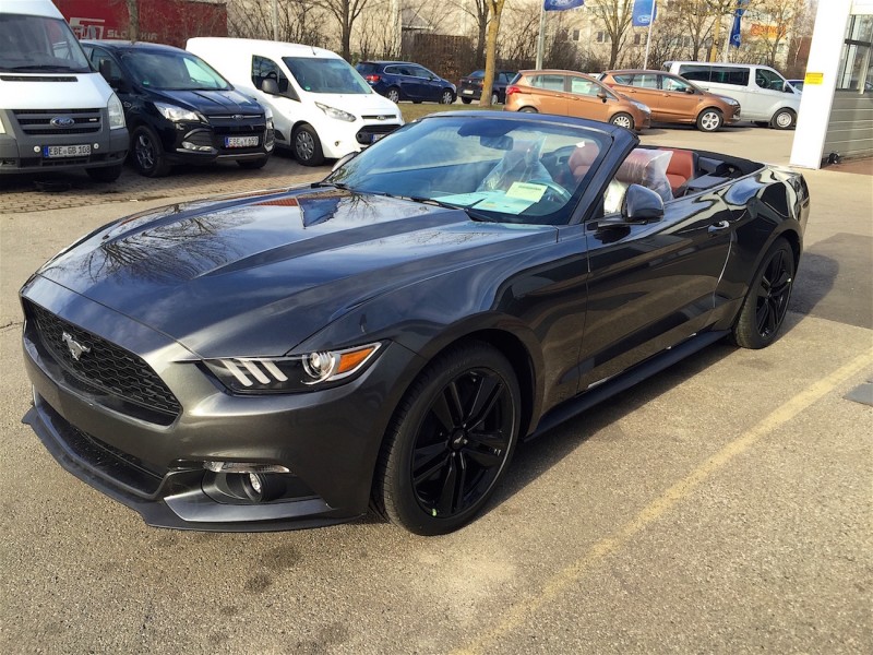 mustang02 026.jpg