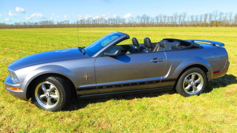 Mustang (35).jpg