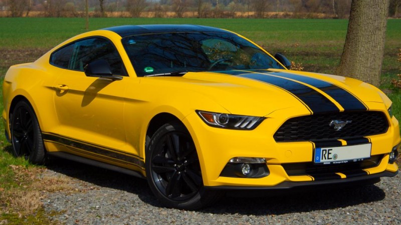 Mustang (1 von 25)-1.JPG