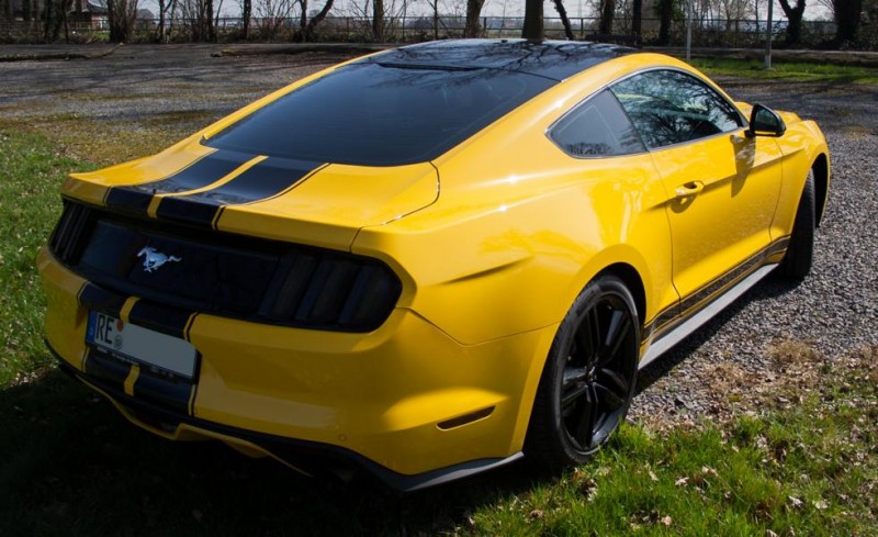 Mustang (7 von 25)-1.JPG