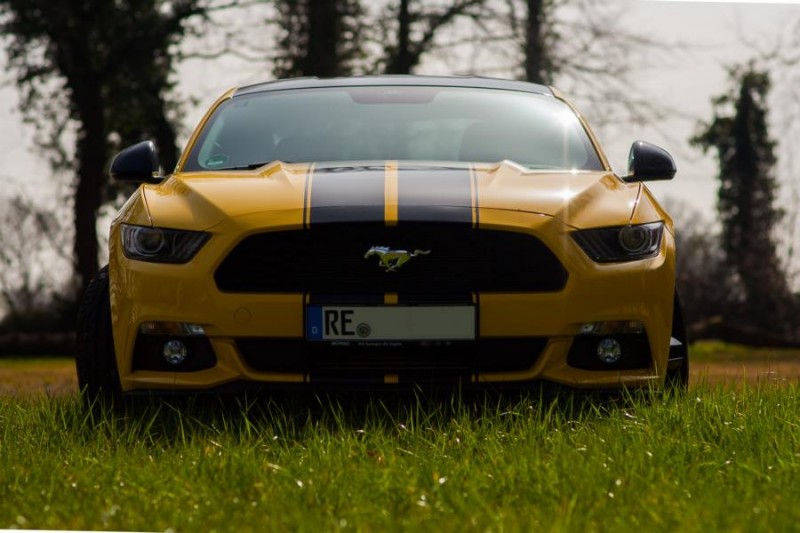 Mustang (20 von 25)-1.JPG