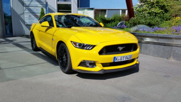 Mustang 002.jpg