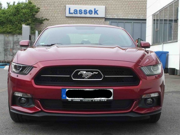 Lassek2a.jpg