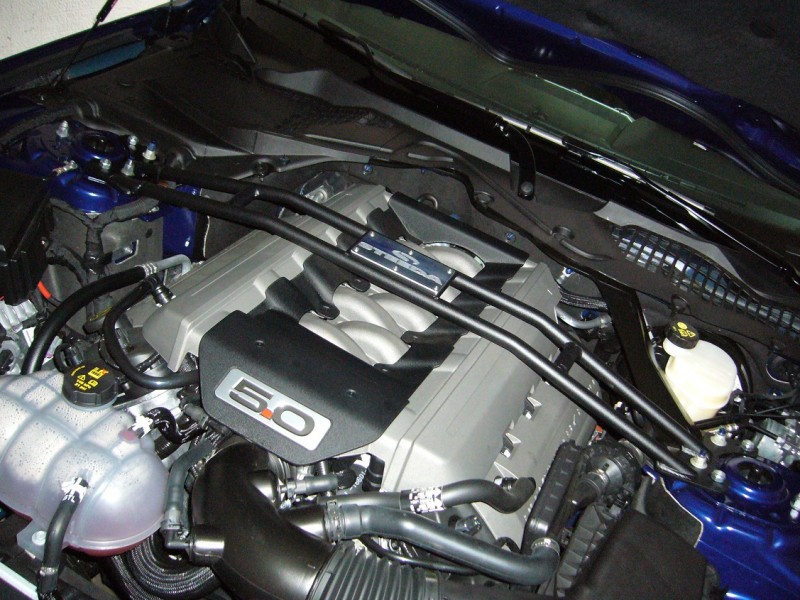 P1050820.JPG