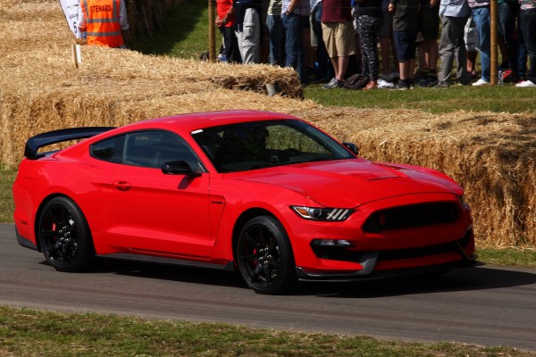 Mustang 1.jpg