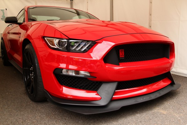 Mustang 2.jpg