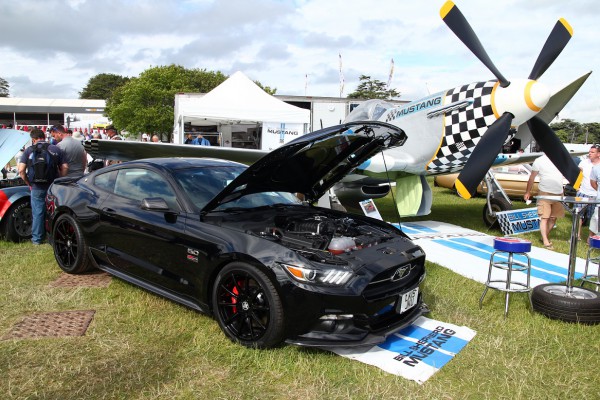 Mustang 3.jpg